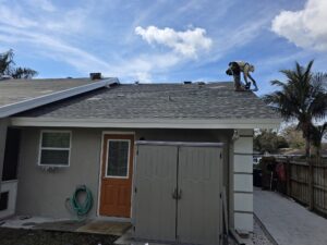 Projects shingle roof